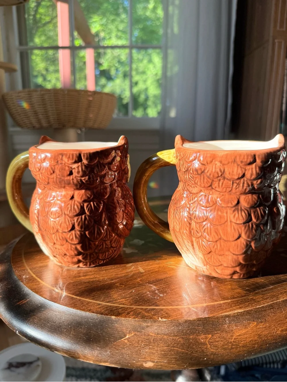 Pier 1 🦉 🌞bring